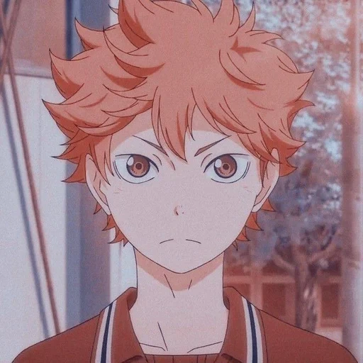 franxx, imagen, haikyuu, voleibol hinata shoyo, dibujos de anime de voleibol