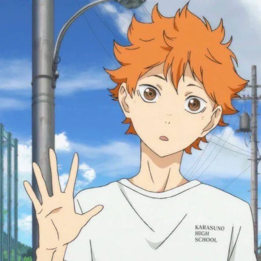 haikyuu, hinata seoyo, hinata shoyo, bola voli sinata, tian teng shoyo