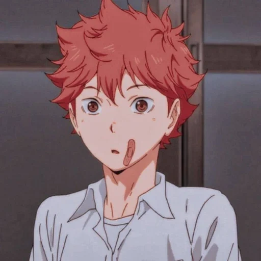 picture, hinata shouyou, anime volleyball, haikyu hinata aesthetic, hinata su aesthetics gliter