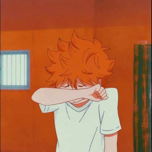 diagram, haikyuu, haikyuu hinata, karakter anime, hinata shoyo season 4