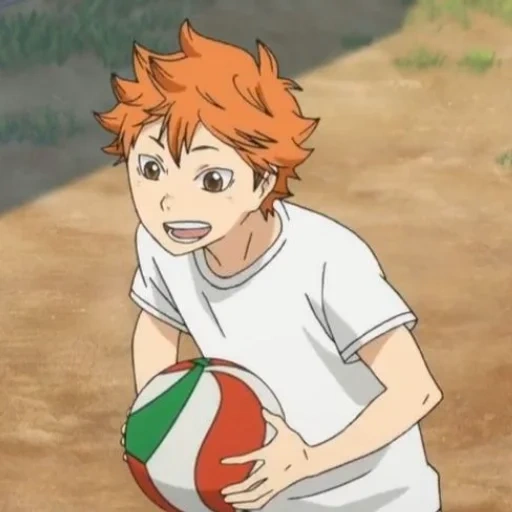 haikyuu, shinata shouyo, hinata shouyou, hida shouyo volleyball, lion shinata anime volleyball