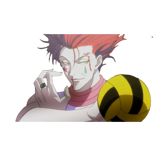 hissoka, hisoka, hissoki, hunter hissoka, hissoka morrow 1999