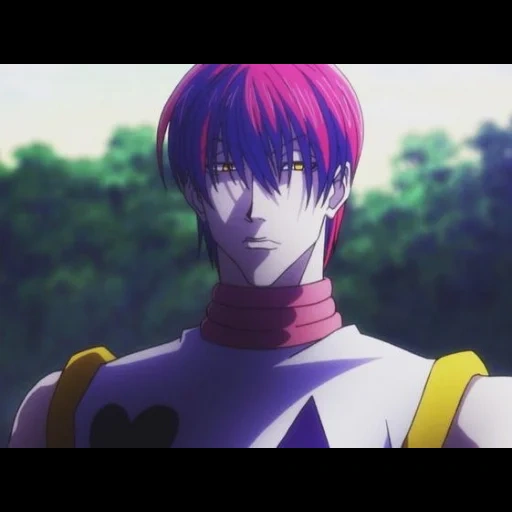 hisoka, chisoka moro, hisoka hunter, hisoka hunter x, chasseur x chasseur 3