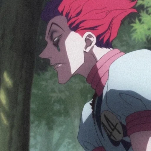 hisoka, hisoka sed, cazador de hisoka, hisoka hunter 2011, anime hunter x hunter hisoca