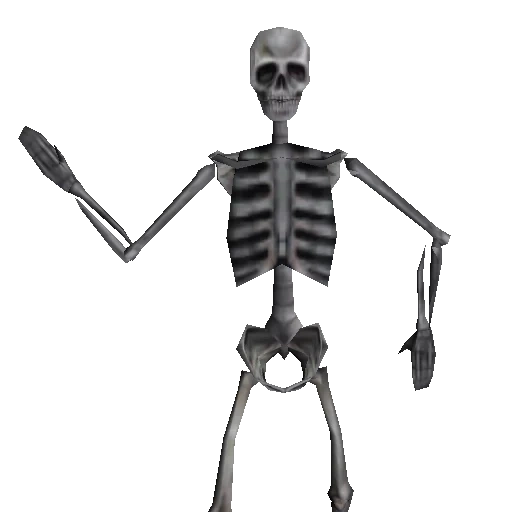 lo scheletro, skeleton, teschio verde, scheletro umano, scheletro osseo umano
