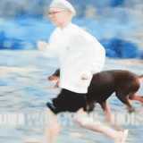 bulteryer, running a dog, bulsterier dog, jungkook bam's dog, dog jack russell terrier