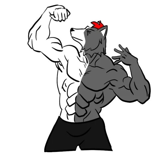 парень, волк качок, muscle growth волк, muscle growth брэтт, furry pop muscle growth transformation