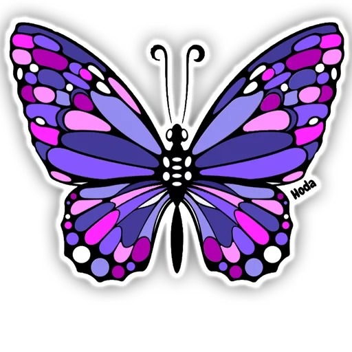 papillon, papillons roses, papillon, butterfly monarch violet, symétrie de papillon violet