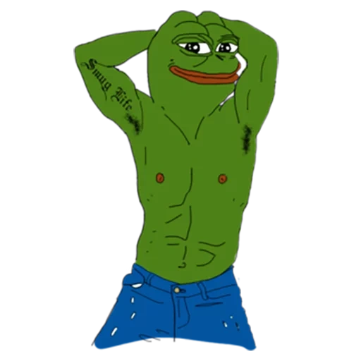 pepe frog, rospo di pepe, la rana di pepe, pepe frog, pepe la rana felice