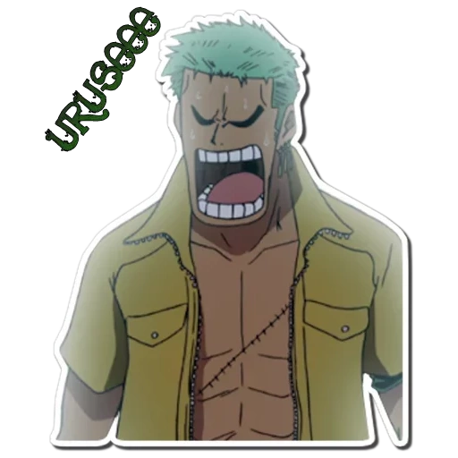 zoro, anime, personnages, anime van pis, sogkering sword zoro