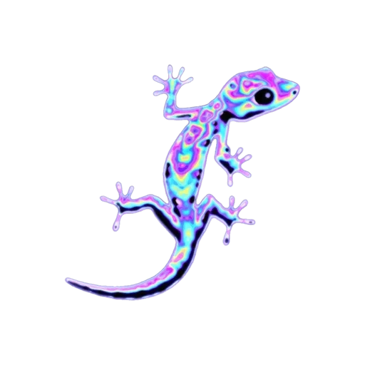 gecko, lézard, haeckon art, dessin haeccon, haeckon lézard