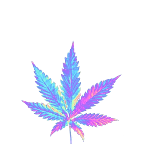 iridescent, hemp leaf, marijuana sheet, konopra of marijuana, vaporwave aesthetic