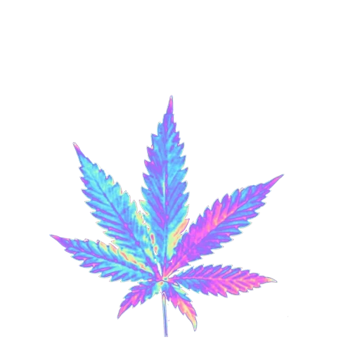 iridescente, foglia di canapa, foglio di marijuana, konopra di marijuana, estetica vaporwave