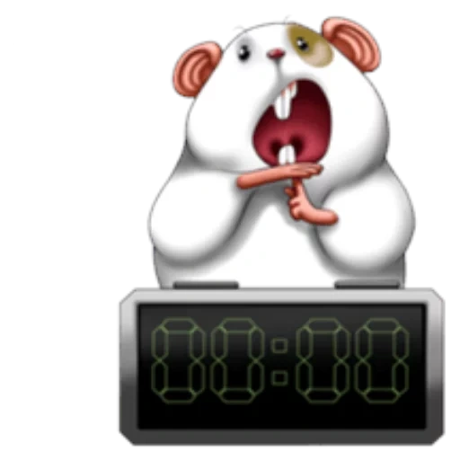 funny, hippo, alarm clock, symbolic dog, cats