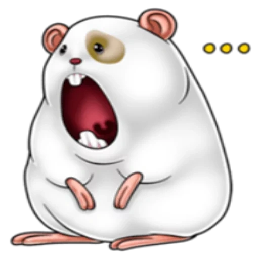 divertente, modello carino, topo grasso, orso bianco, immagini di milot