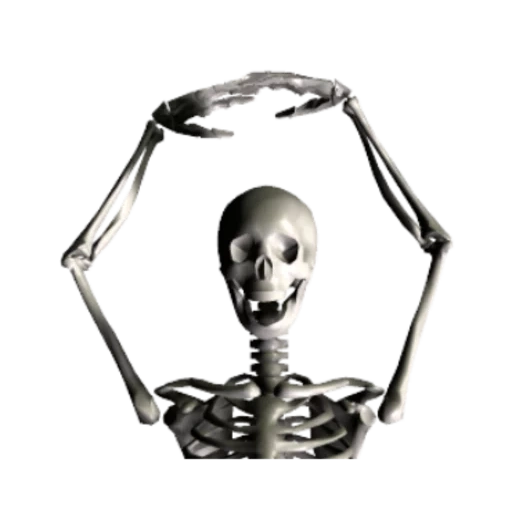 lo scheletro, scheletro scheletrico, scheletro umano, scheletro osseo umano, photoshop scheletro umano