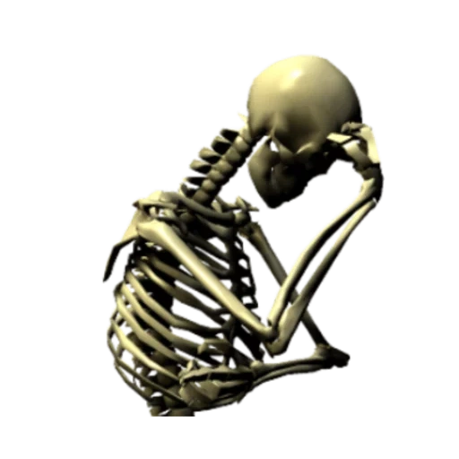 lo scheletro, skeleton, scheletro scheletrico, teschio su sfondo bianco, scheletro umano