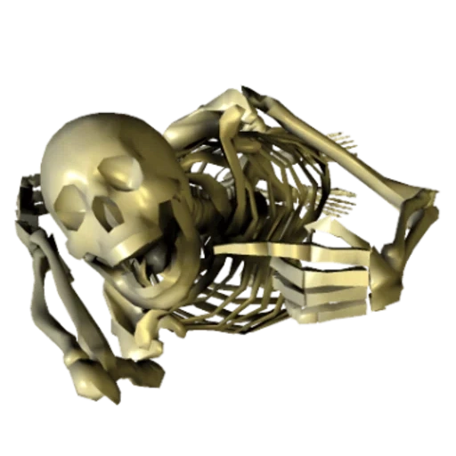das skelett, the skeleton, das skelett liegt, skelett des schädels, skelett skelett