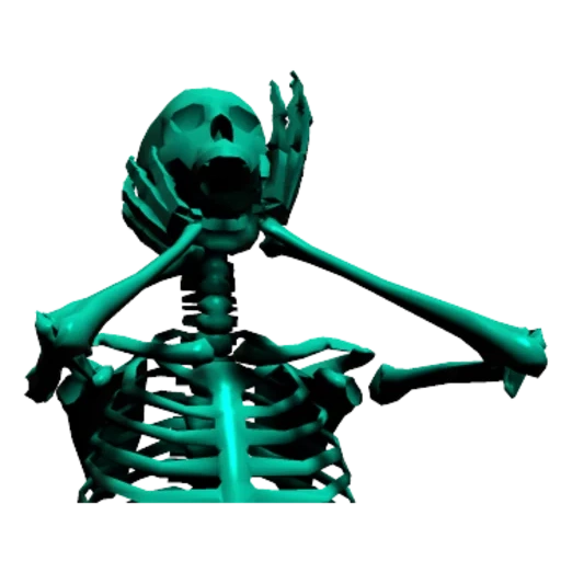 das skelett, the skeleton, skelett ohne hintergrund, menschliche knochen, das animierte skelett