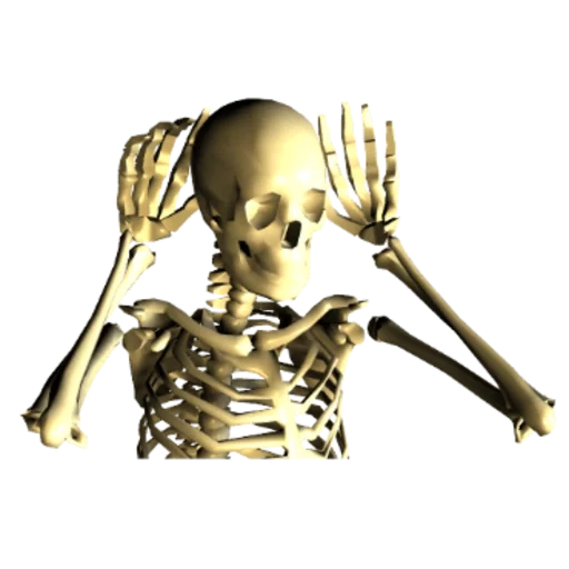 скелет, скелет машет, кости скелета, скелет человека, человеческий скелет