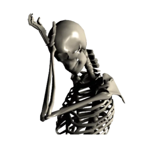 lo scheletro, skeleton, scheletro scheletrico, teschio su sfondo bianco, scheletro umano