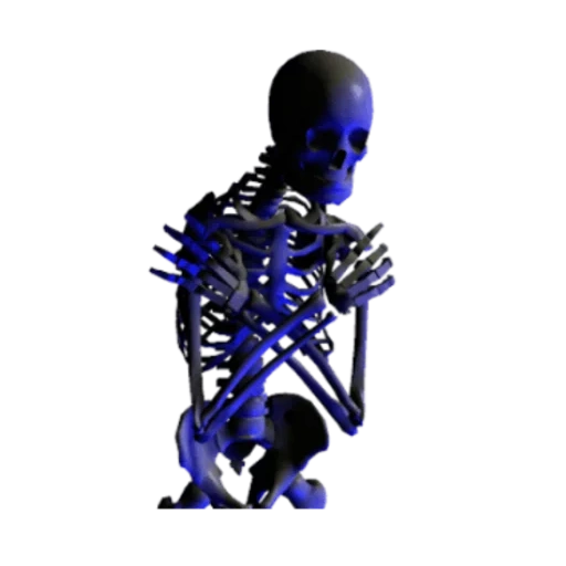 das skelett, skelett, skelett ohne hintergrund, menschliche knochen, transparenter hintergrund menschliches skelett
