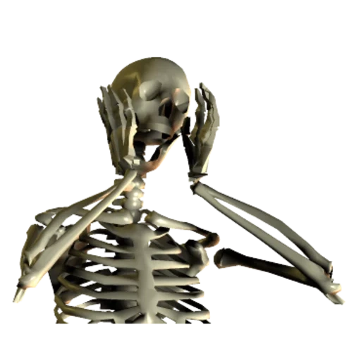 squelette, squelette squelette, the walking dead, os humains, squelette osseux humain