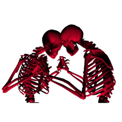 lo scheletro, le tenebre, l'uomo scheletro, skull uomini e donne, l'abbraccio aumenta il livello dell'ormone dell'amore ossitocina