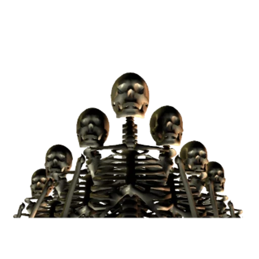 squelette, skeleton, mème squelette, skull man, squelette métallique