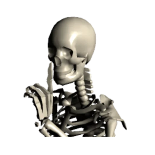 lo scheletro, skeleton, 3 scheletri, scheletro umano, teschio di scheletro umano