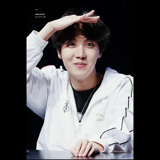 jhope bts, hoseok bts, bangtan boys, hosoke van sein, bts fansain 2018