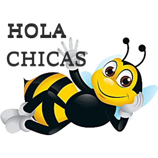 abeja, abeja feliz, una abeja con fondo blanco, la abeja con fondo blanco, la abeja es un fondo transparente