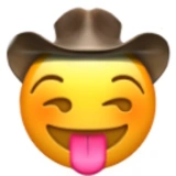 Horny Cowboys