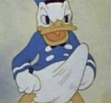 donald, donald, paperino, meme donald duck