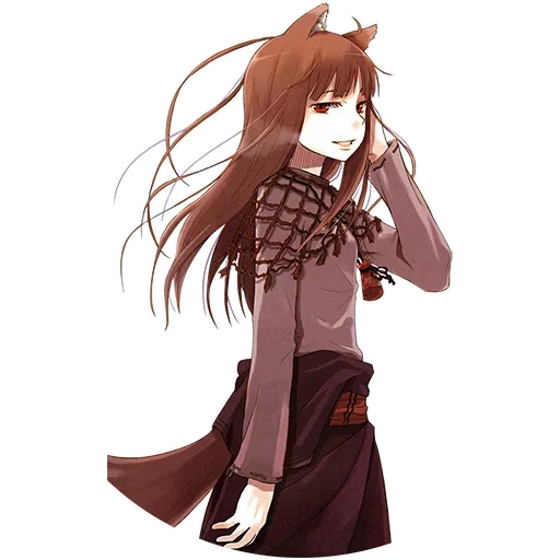 hair, figure, spice wolf, adobe illustrator, spice and wolf the wind