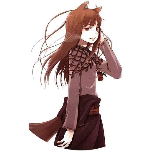 die haare, abb, der gewürzwolf, adobe illustrator, spice and wolf the wind