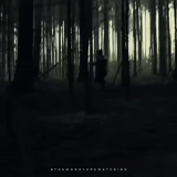 bosque oscuro, bosque terrible, bosque oscuro y sombrío, dark forest film 2005, bruja blair 2016 monster forest