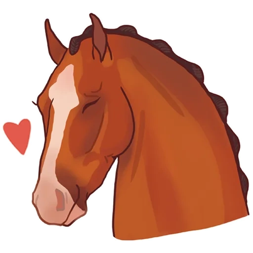 horse, cavalo