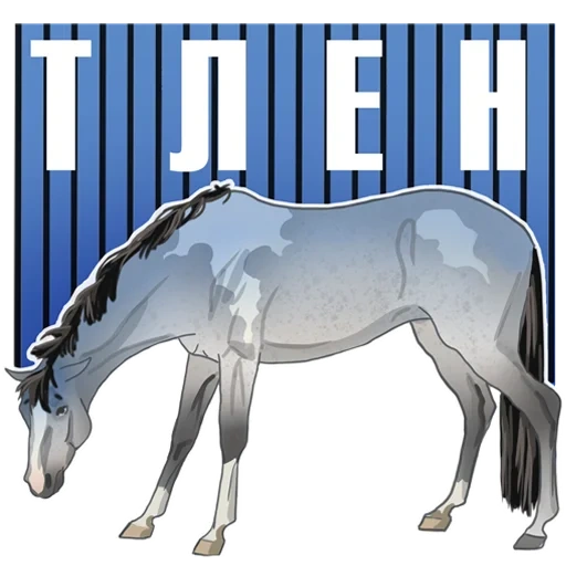 text, horse, horse, horse of the mane, horse of the mare