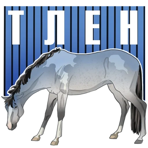 текст, horse, лошадь, лошадь грива, лошадь кобыла