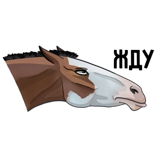 horse, horse muzzle, mustang horse, the horse is an illustrator, horse stickers