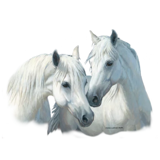 a couple of horses, white horse, a couple of white horses, embroidery is a white horse, white real horses