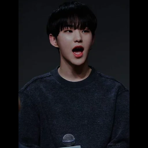 asiático, park qinrong, feng zheheng, wonho monsta x, seventeen hoshi