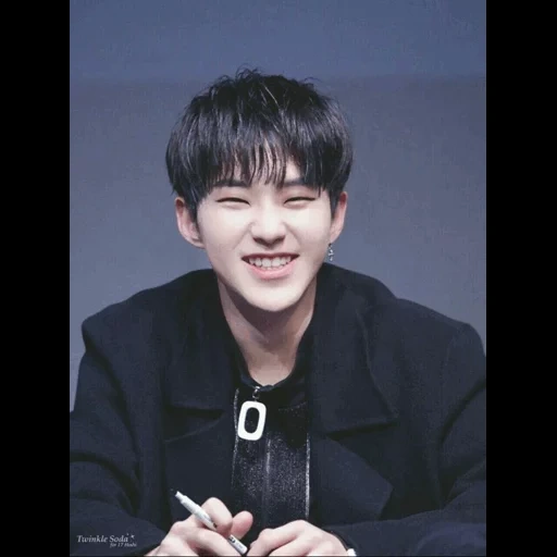 singer, seventeen, kwon soonyoung, hoshi seventeen, bts chong guo cry