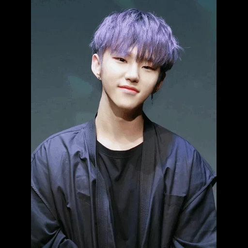 hoshi seventeen, hoshi seventeen, seventeen wonwoo, mingyu seventeen, kolase tujuh belas tahun hu shi