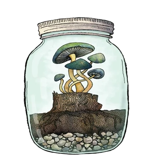 menggambar bank, menggambar ke bank, poster ke bank, menggambar bank hutan, cetak terrarium