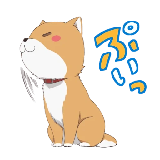 gato, taromaru, shiba inu, shiba é anime, os animais são fofos