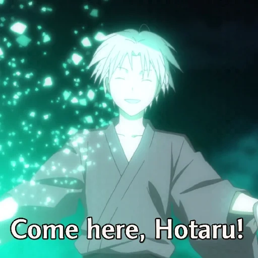 anime gin, hotarubi no more, hotarubi no more e, the flickering of fireflies, hutan anime tempat kunang kunang berkedip