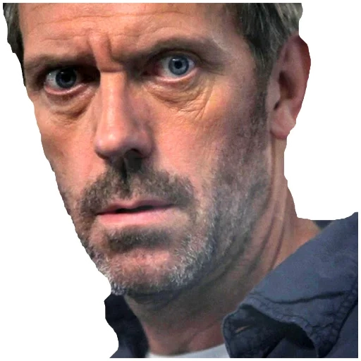 hugh laurie, doctor house