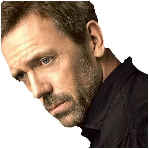 dokter, hugh laurie, dr house